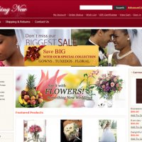 Website Portfolio Page 4